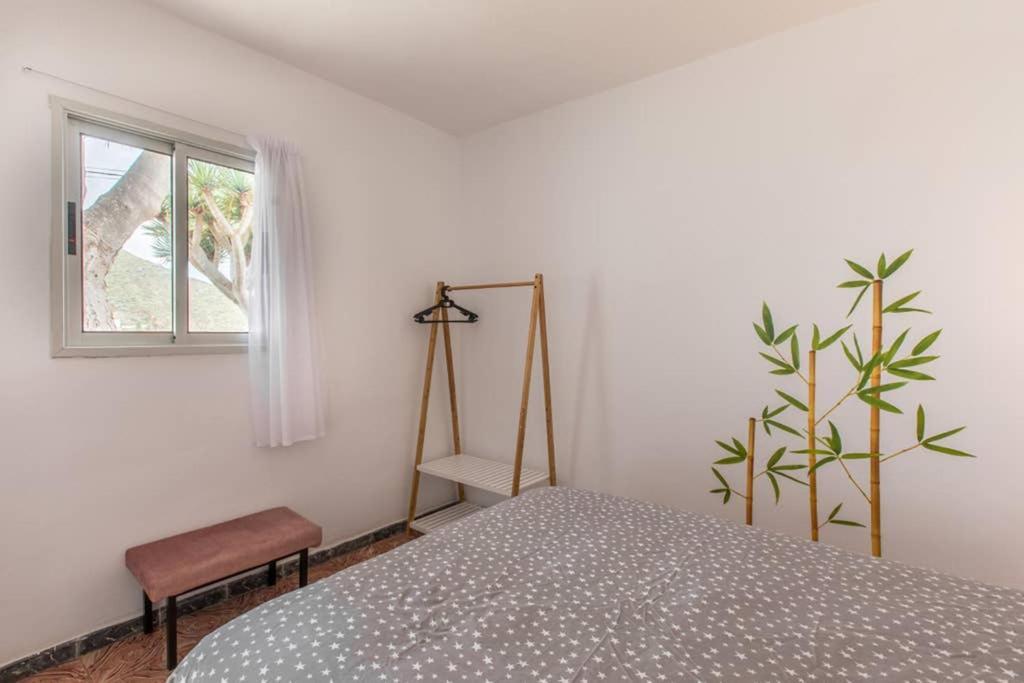 Anaga Experience: Mountain And Beach Retreat Taganana Exteriér fotografie